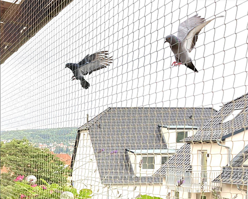 Pigeon Net
